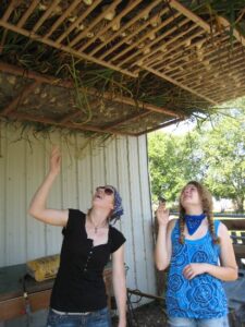 Apprentices on the Homestead Image
